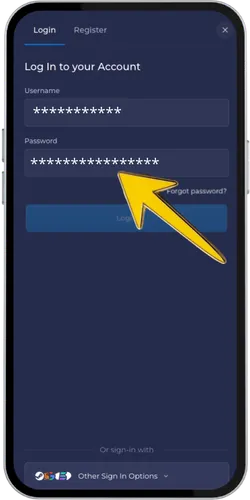 Wpisz e-mail i zaloguj się do Rainbet