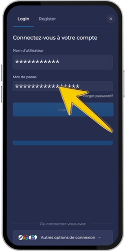 Saisir e-mail et connexion Rainbet
