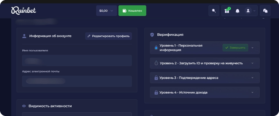 Изменение данных аккаунта Rainbet