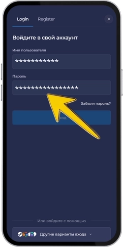 Ввод email и вход в Rainbet
