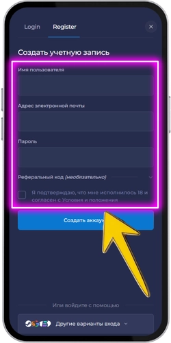 Заполнение данных на сайте Rainbet